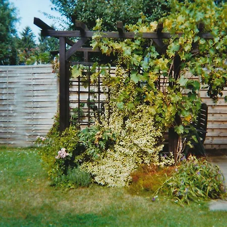 Zinnowitz, Haus Joern *
